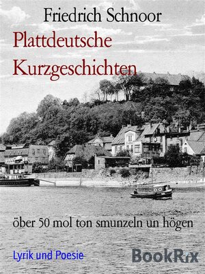 cover image of Plattdeutsche Kurzgeschichten